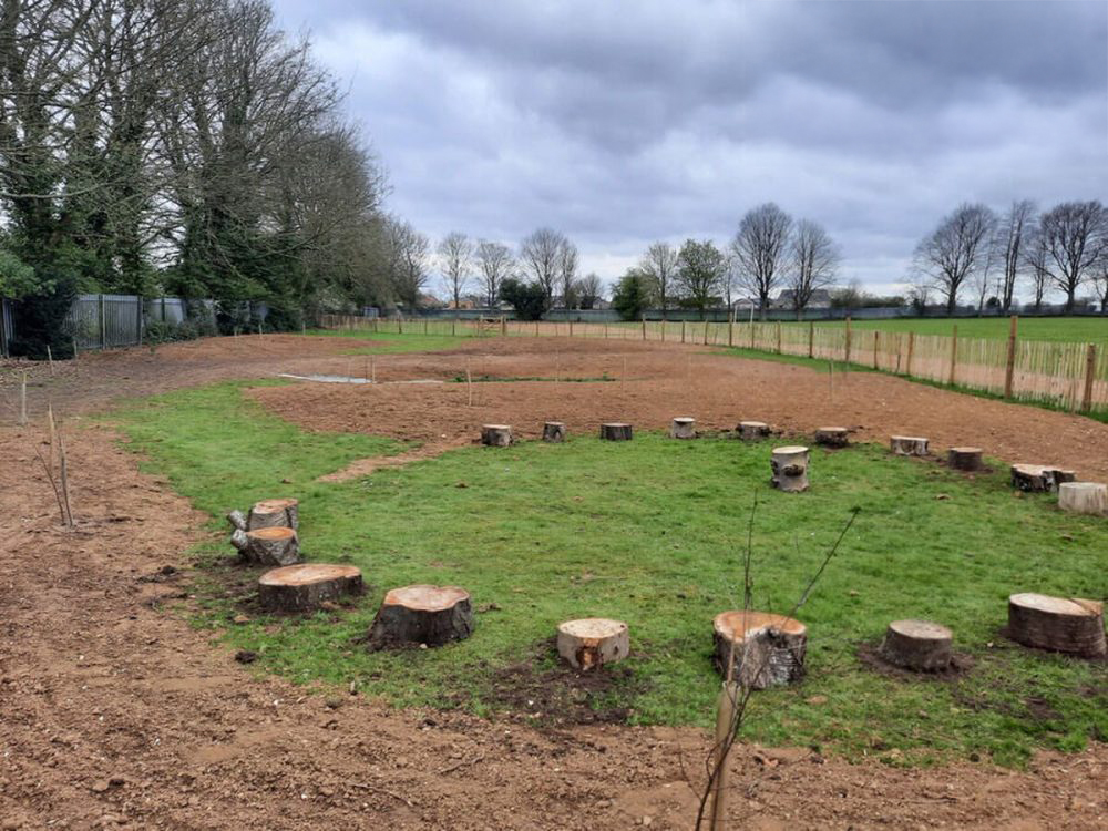 Outdoor Classroom