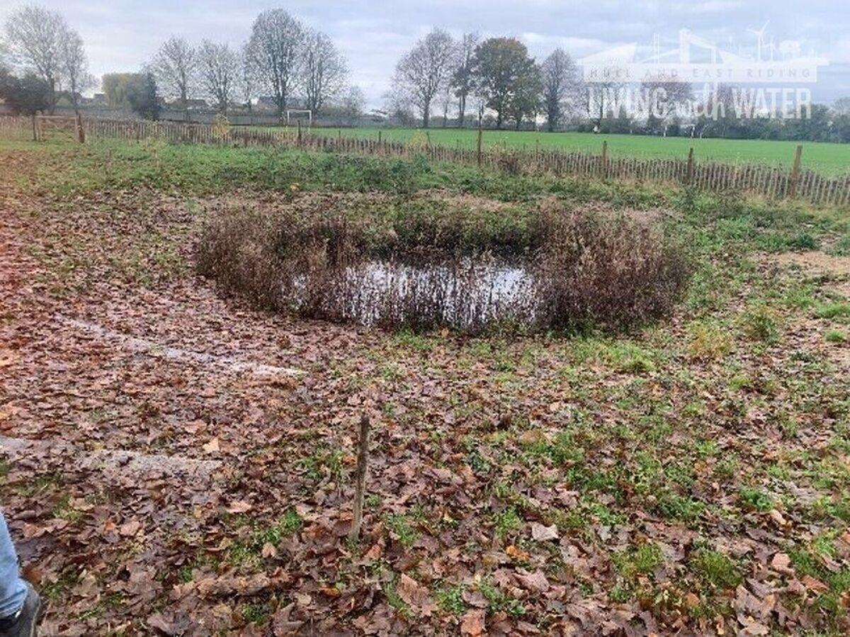 School Pond