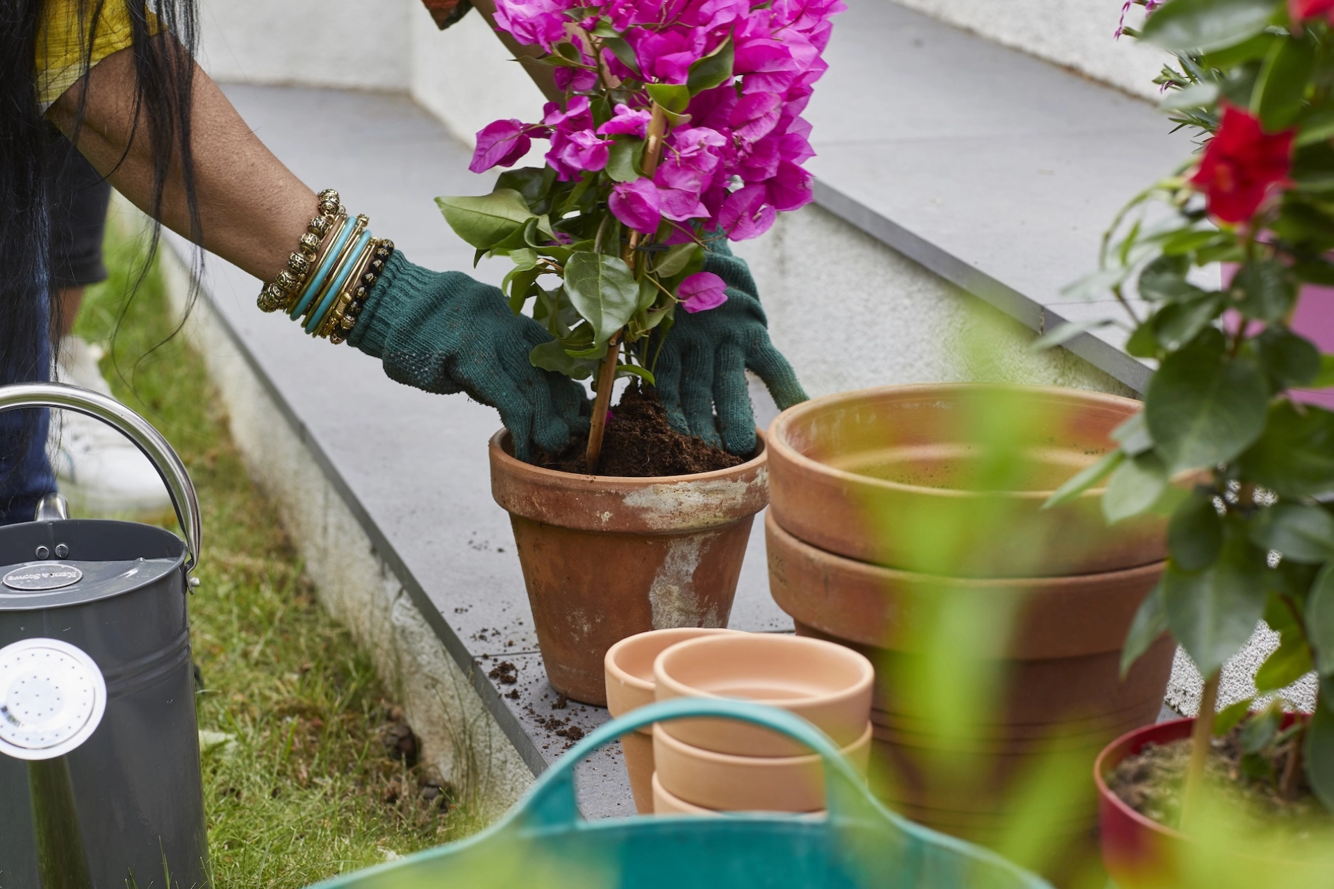 Planting 070