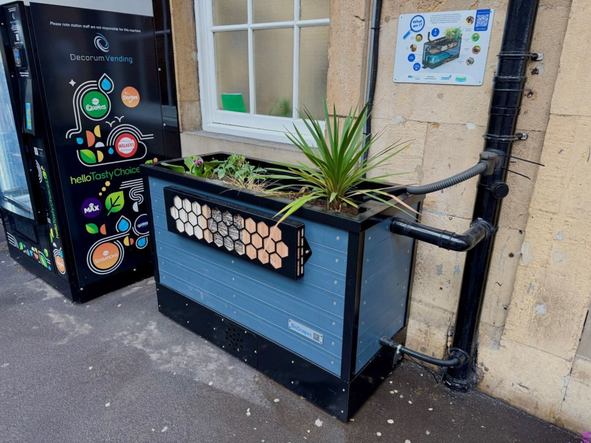 Sustainable drainage planter